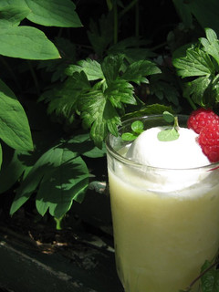 A picture of Pineapple & Grapefruit Smoothie.