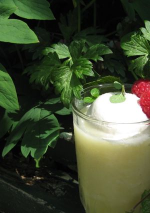 A picture of Pineapple & Grapefruit Smoothie.