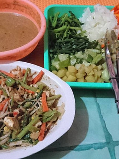 Foto resep Indonesian boiled mix veggies salad a.k.a gado-gado