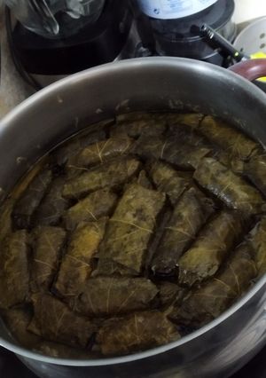 Φωτογραφία της συνταγής Ντολμαδάκια γιαλαντζί με άσπρη σάλτσα