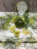 Liquore al finocchietto selvatico