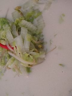 Foto resep Sayur lodeh sawi putih