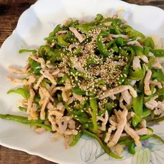 A picture of Pork Ginger stir fry with Green Pepper.