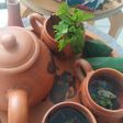 Teh tubruk daun mint (Sintren Nyapu Tang Mint)