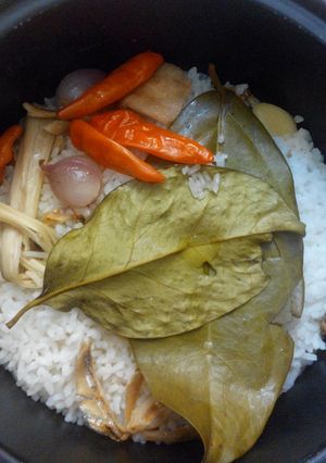 Foto resep Nasi liwet sederhana ala Anak Kos