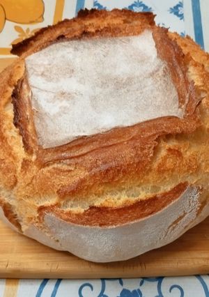 Una foto de De masa madre Con harina de espelta integral (escaldado) / fuerza trigo