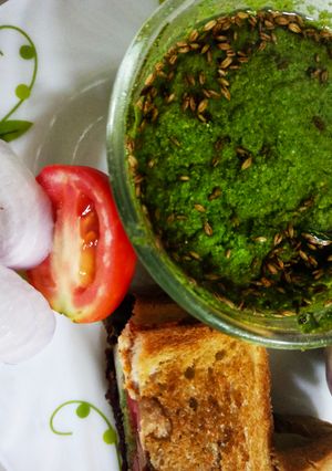 A picture of #savourytoothtales inspired cilantro chutney.