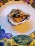 Brad's halfshell kumamoto oysters with parsley gremolata