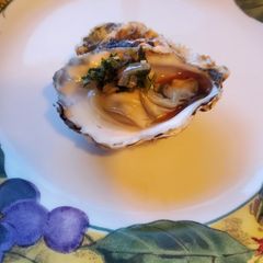 A picture of Brad's halfshell kumamoto oysters with parsley gremolata.