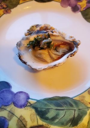 A picture of Brad's halfshell kumamoto oysters with parsley gremolata.