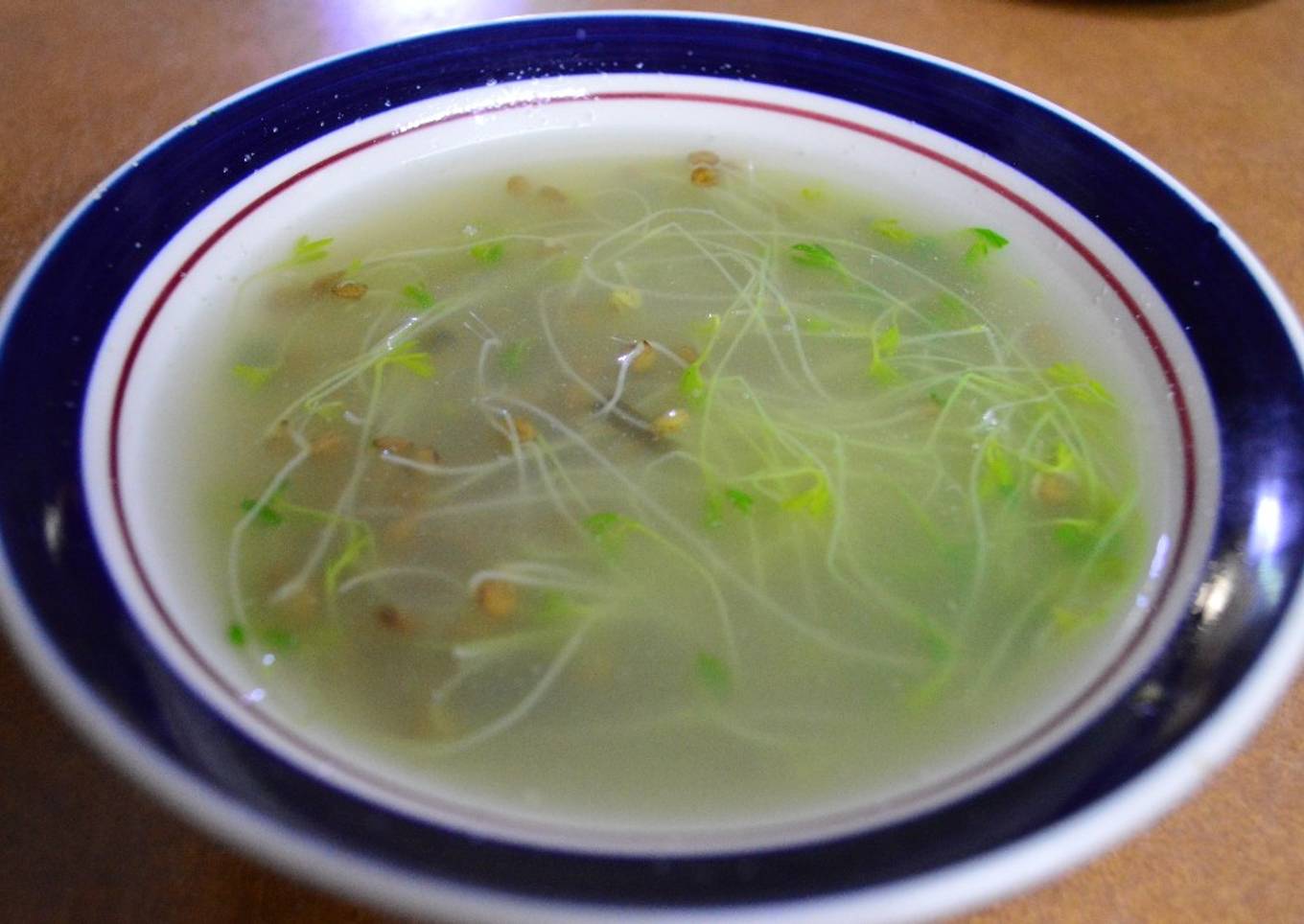 Germinado de lentejas en caldo de pollo