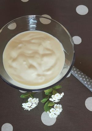 A picture of Light Aioli Sauce.