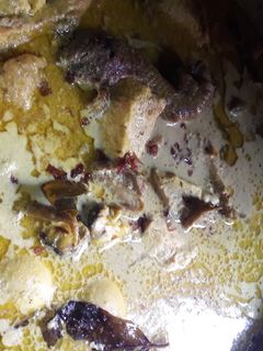 Foto resep Opor Ayam Kampung