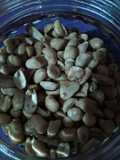 Kacang Bawang aka Kacang tojin