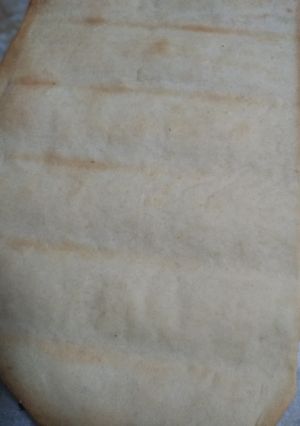 Foto principal de Masa de pizza