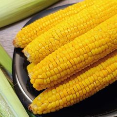 A picture of Baked Corn on the Cob in the Oven – Sweet, Tender & Juicy 🌽.