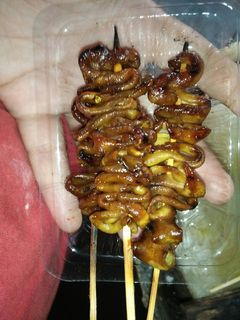 Foto resep SATE (Ati,ampela,usus)