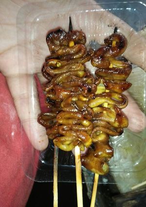 Foto resep SATE (Ati,ampela,usus)