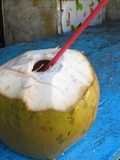 Coco loco