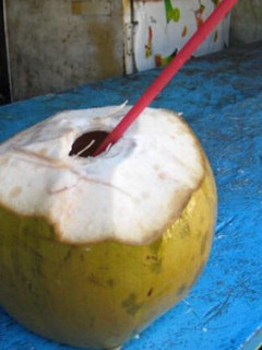 Una foto de Coco loco