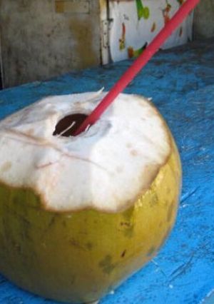 Una foto de Coco loco
