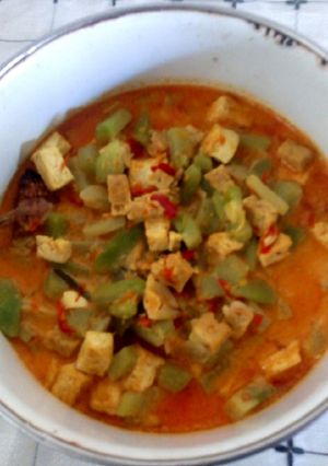 Foto resep Lontong sayur labu siam