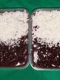 Brownies coklat lumer