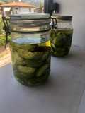 Nocino