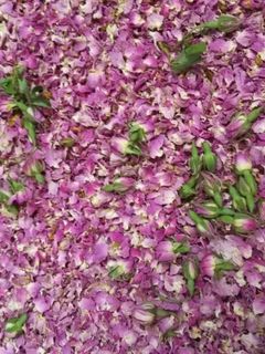 عکسی از دستور گل محمدی خشک :-)