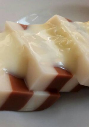 Foto resep Puding Coklat Lapis Vanila