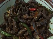 Gambar belut kecap