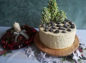 Zdjęcie przepisu Tort ''Świąteczny Las''.