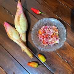 รูปของ Sambal matah kecombrang (honje)