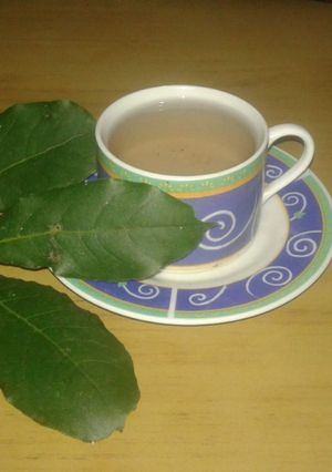 Una foto de Té de laurel