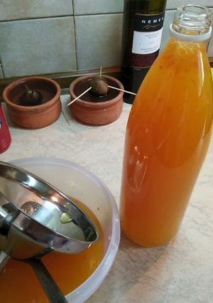 Φωτογραφία της συνταγής Μία "Μυθική" σπιτική πορτοκαλάδα. Συμπυκνωμένη και ιδιαζόντως δροσιστική!