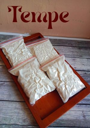 Foto resep Tempe