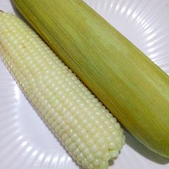 A picture of Boiled corn🌽🌽🌽.