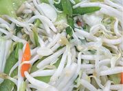 Gambar tumis gambas toge