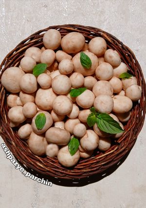 عکسی از دستور شستشوی فوری قارچ 🌸
