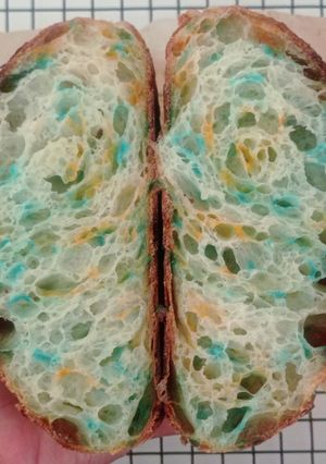 Foto resep Blue-Orange Sprinkles Sourdough Bread