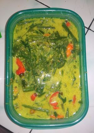 Foto resep Gulai pakis