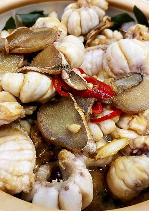 三杯旗魚肚 的食譜成品照片