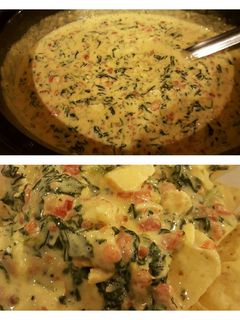 A picture of Cheesy Spinach Bacon Grilled Chicken Dip.