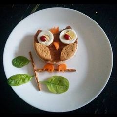 A picture of Crazy Owl.