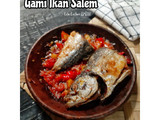 Gami Ikan Salem