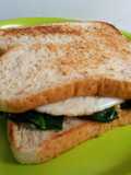 Sandwich Bayam Brazil