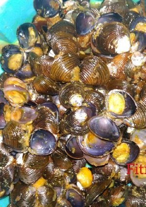 Foto resep Tumis Pensi
