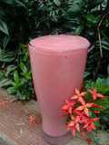 Jus jambu biji merah