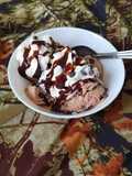 Homemade Ice cream without additives or preservatives