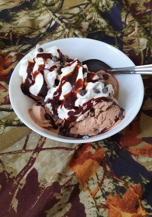 A picture of Homemade Ice cream without additives or preservatives.